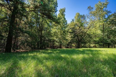 View of nature