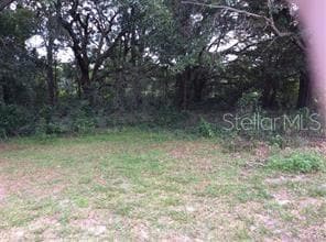 709 S Rooks Ave, Inverness, FL 34453 - photo 2