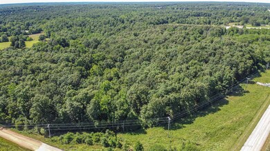 0N of County Road 474, Poplar Bluff, MO 63901 - photo 3