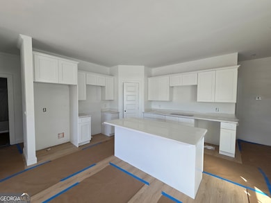 1086 Cottage Way, Darien, GA 31305 - photo 3