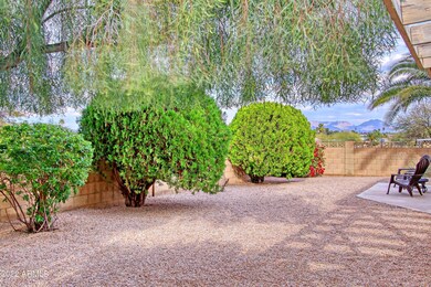 Backyard 4