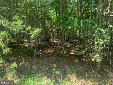 0 Twin Oaks unit VAWR143818, Bentonville, VA 22610 - photo 2