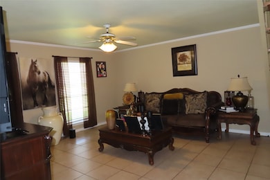 313 N Arkansas St, Springhill, LA 71075 - photo 2