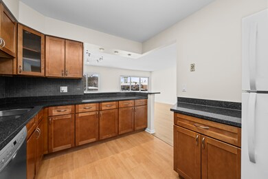 10385 Dearlove Rd unit 2C, Glenview, IL 60025 - photo 7