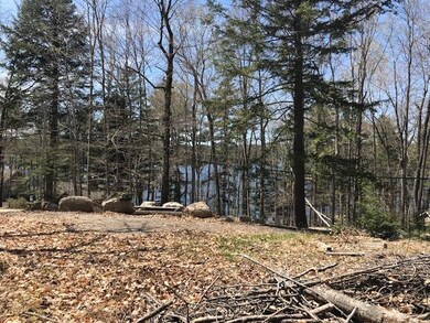 Top of driveway to lake