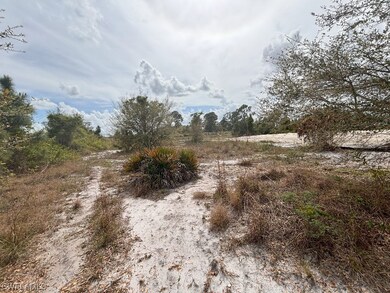 1132 Bermar St, Lehigh Acres, FL 33913 - photo 4