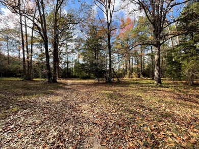 1038 Benton Ln, McComb, MS 39648 - photo 4