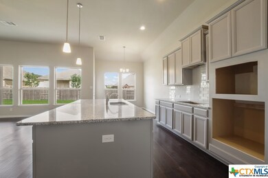 17815 Handies Peak, Helotes, TX 78023 - photo 5