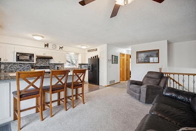 10648 Wren St NW, Coon Rapids, MN 55433 - photo 5