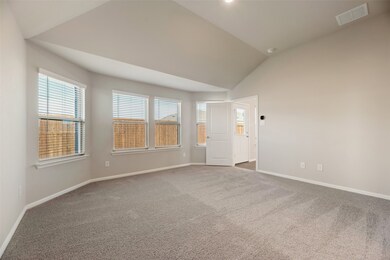 14127 Bacton Rd, Pilot Point, TX 76258 - photo 5