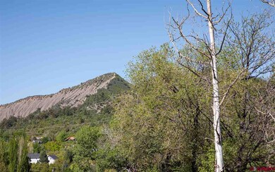 0 Calle de Rincon unit 764232, Durango, CO 81301 - photo 2