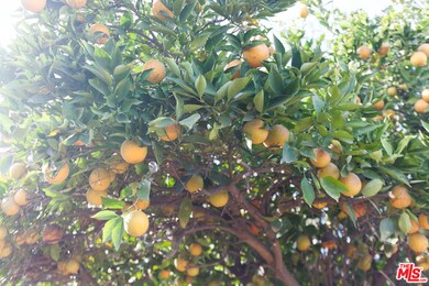 3607 E Hungerford St, Long Beach, CA 90805 - photo 6