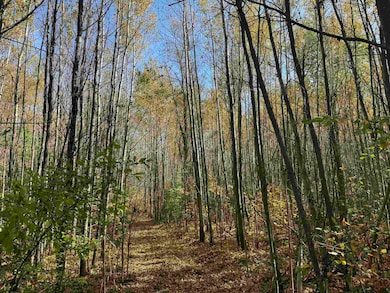 1xxx 460th Ln, Palisade, MN 56469 - photo 6