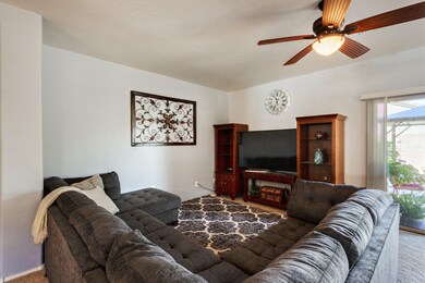 Living Room Area