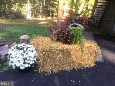 366 Little Creek Trail, Berkeley Springs, WV 25411 - photo 6