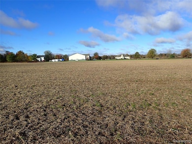 0 Hayner Rd unit 20251044211, Fowlerville, MI 48836 - photo 3