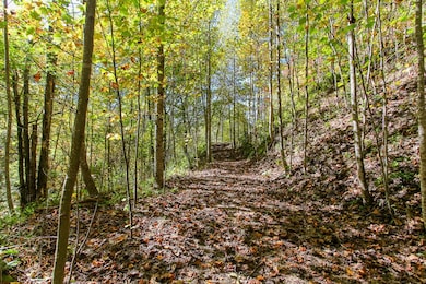 Lot 43 Falls View Rd, Bryson City, NC 28713 - photo 2