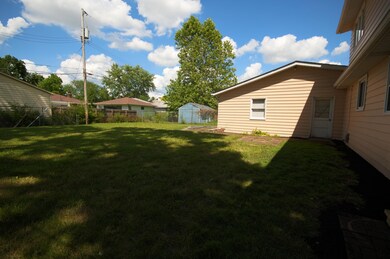 backyard (2)