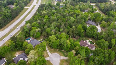 An aerial view of your lot and its neighbors.