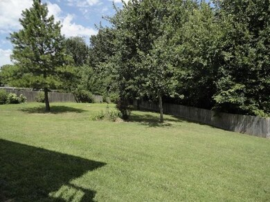 back yard (1)