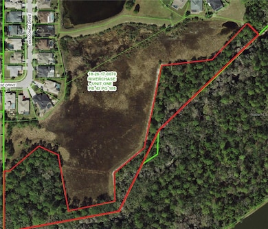 0 Shooting Star Ct, Riverchase, FL 34655 - photo 3