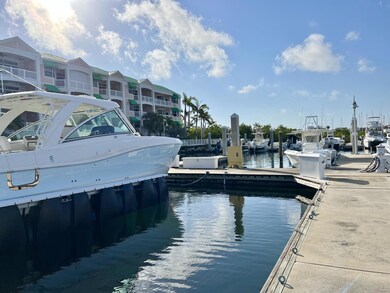 Grouper Pier 8