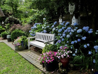 Tons of Hydrangeas 