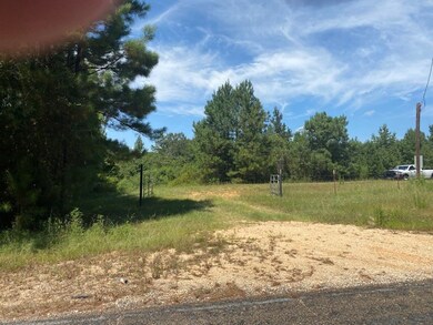 266 Edgar Holmes Rd, Tylertown, MS 39667 - photo 3