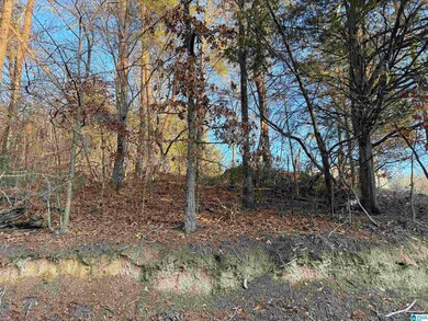 7595 McCombs Mill Rd, Pinson, AL 35126 - photo 7