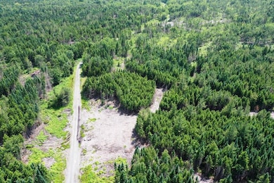 Lot 7 W Bog, Shirley, ME 04485 - photo 3