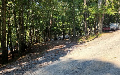 L458 23rd St, Ellijay, GA 30540 - photo 6