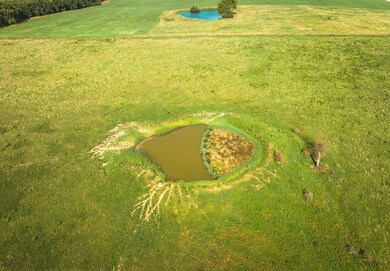 6203 Shepherd Rd, Richland, MO 65556 - photo 4