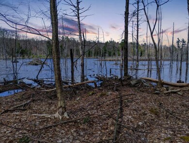 49 Ramshorn Rd, Charlton, MA 01507 - photo 2