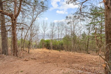 Cleared Area