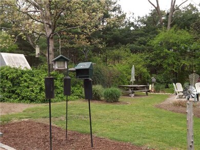 Yard/Garden.