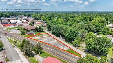 129 S Forrest Ave, Camden, TN 38320 - photo 5