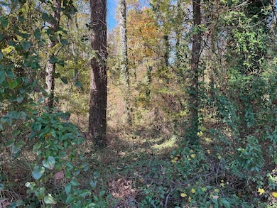 3285 Lake Dr, Lawrenceville, GA 30044 - photo 5