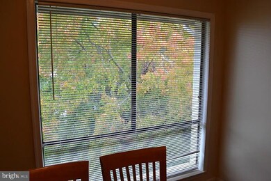 8601 Sacramento Dr unit F, Alexandria, VA 22309 - photo 5