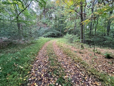 0 Rt 271 (Menhore Blvd) unit 11357205, Johnstown, PA 15905 - photo 2