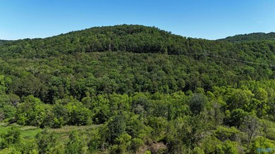 11 acres Stewart Hollow Rd, Grant, AL 35747 - photo 2