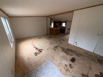 5163 Old Airport Rd, Winnsboro, SC 29180 - photo 6