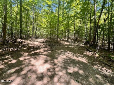 L7.41 Summit Lake Rd, Argyle, NY 12809 - photo 5