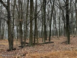 341 Duvall Cemetery Rd, Broad Top Township, PA 16679 - photo 4