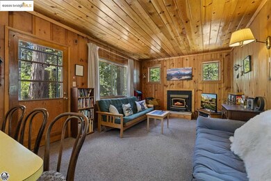 Carpeted living room featuring wooden walls and wooden ceiling
