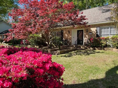 8237 8237 Columbia Dr, Tyler, TX 75703 - photo 6