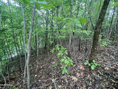 7 River Front Dr, Sparta, TN 38583 - photo 6