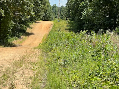 000 Foxfield Rd, Mammoth Spring, AR 72554 - photo 6