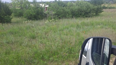 0 Donegal Dr, Lake Brownwood, TX 76801 - photo 2
