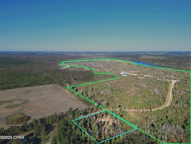 0 Parramore Rd, Sneads, FL 32460 - photo 2