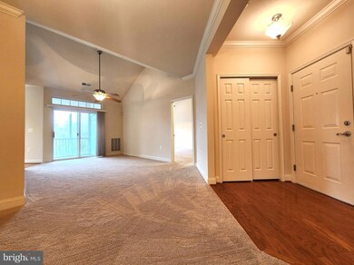 311 Tiree Ct unit 402, Abingdon, MD 21009 - photo 6